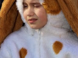 IMG_8609